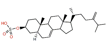24-Methyl-5a-cholesta-7,24(28)-dien-3b-ol sulfate